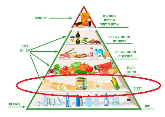 פירמידת המזון by shira rabinovich - Ourboox.com