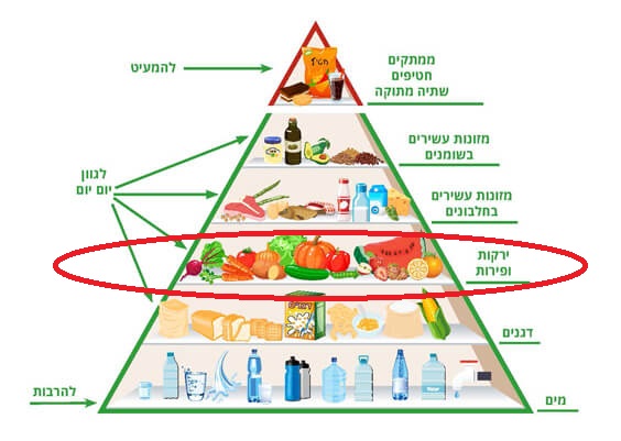 פירמידת המזון by shira rabinovich - Ourboox.com