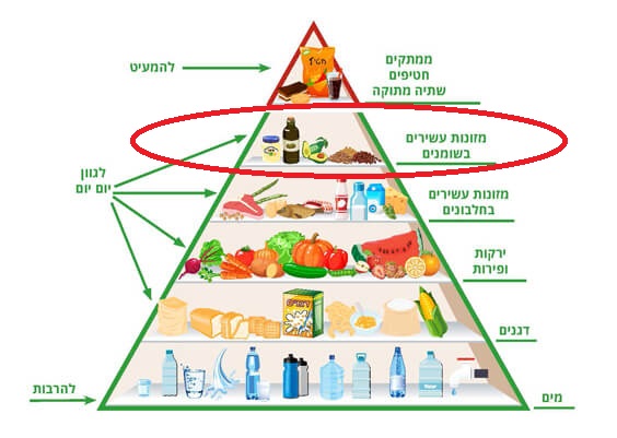 פירמידת המזון by shira rabinovich - Ourboox.com