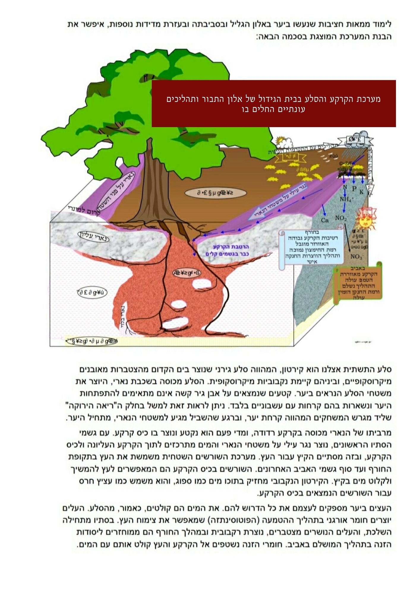 עלון הגליל אפריל 20 by אלון הגליל - Ourboox.com