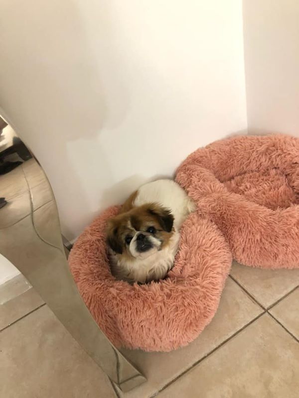 תמונות מספרות משפחה by iris levi - Illustrated by עריכה -איריס לוי - Ourboox.com