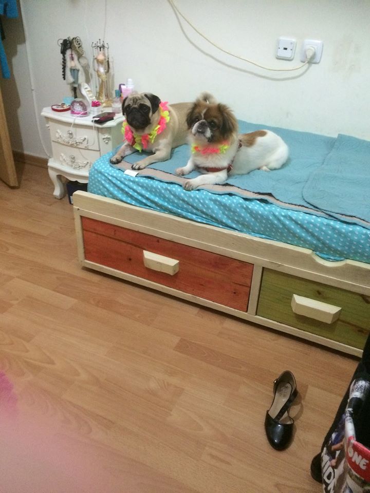 תמונות מספרות משפחה by iris levi - Illustrated by עריכה -איריס לוי - Ourboox.com