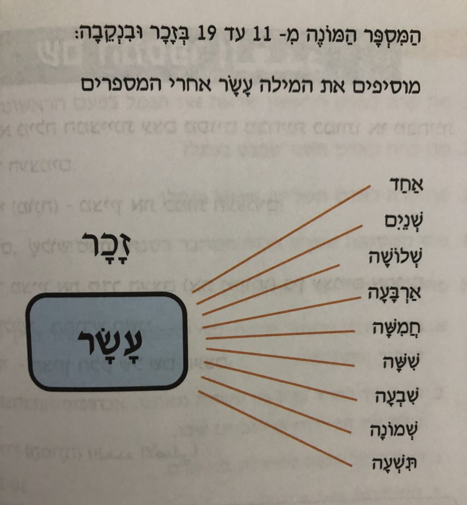 שם המספר by roza najjar - Ourboox.com