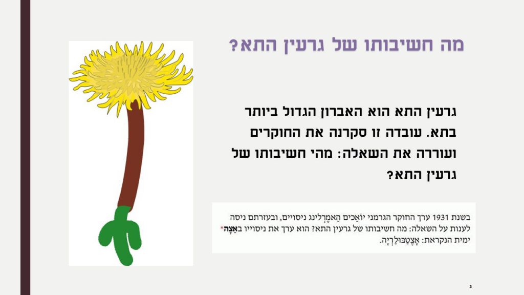 חשיבות גרעין התא by ofra sion retter - Ourboox.com