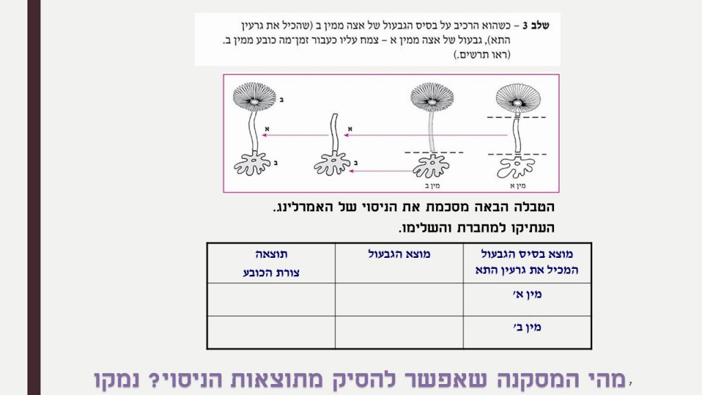 חשיבות גרעין התא by ofra sion retter - Ourboox.com