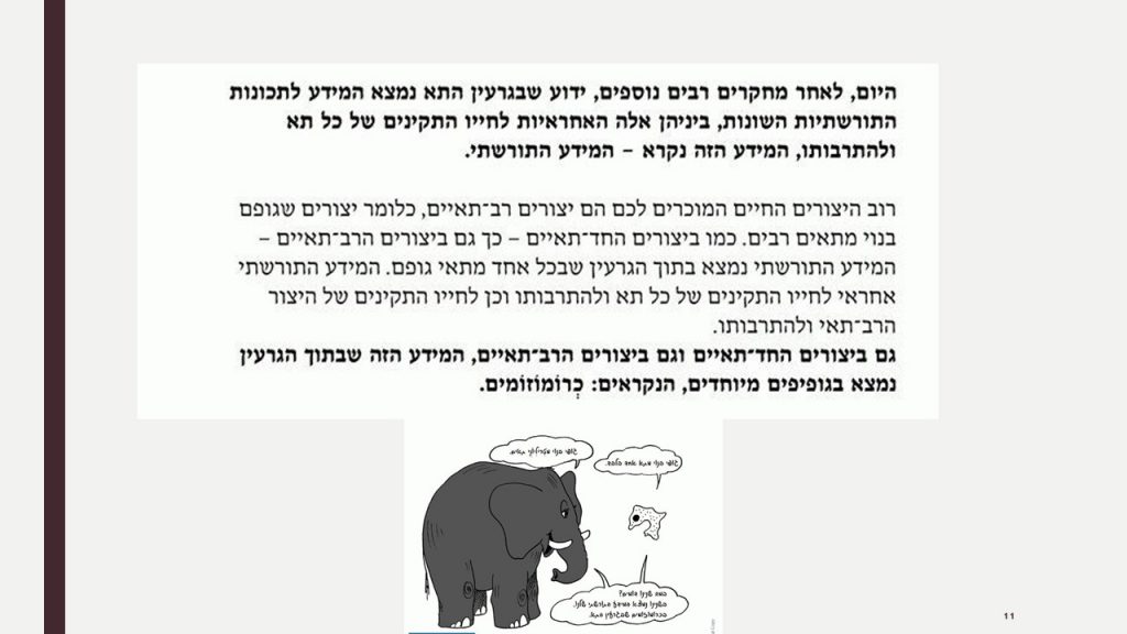 חשיבות גרעין התא by ofra sion retter - Ourboox.com