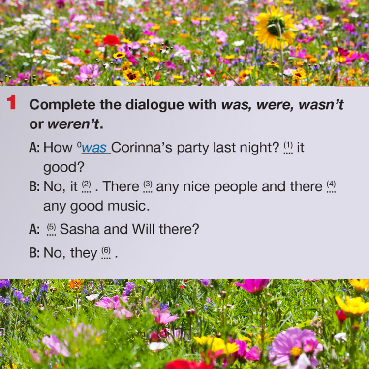 Language revision Unit 8 by Svetlana Lesinska - Ourboox.com