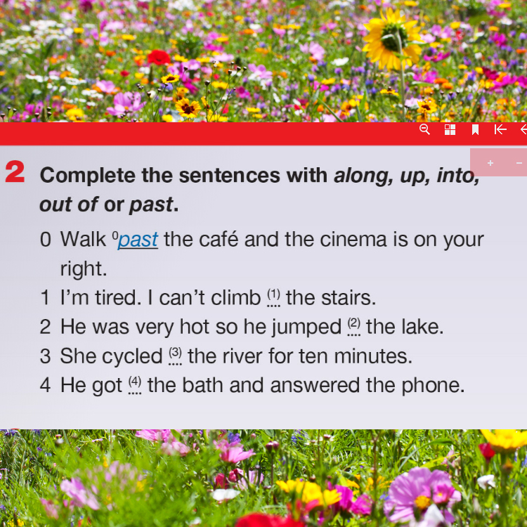 Language revision Unit 8 by Svetlana Lesinska - Ourboox.com