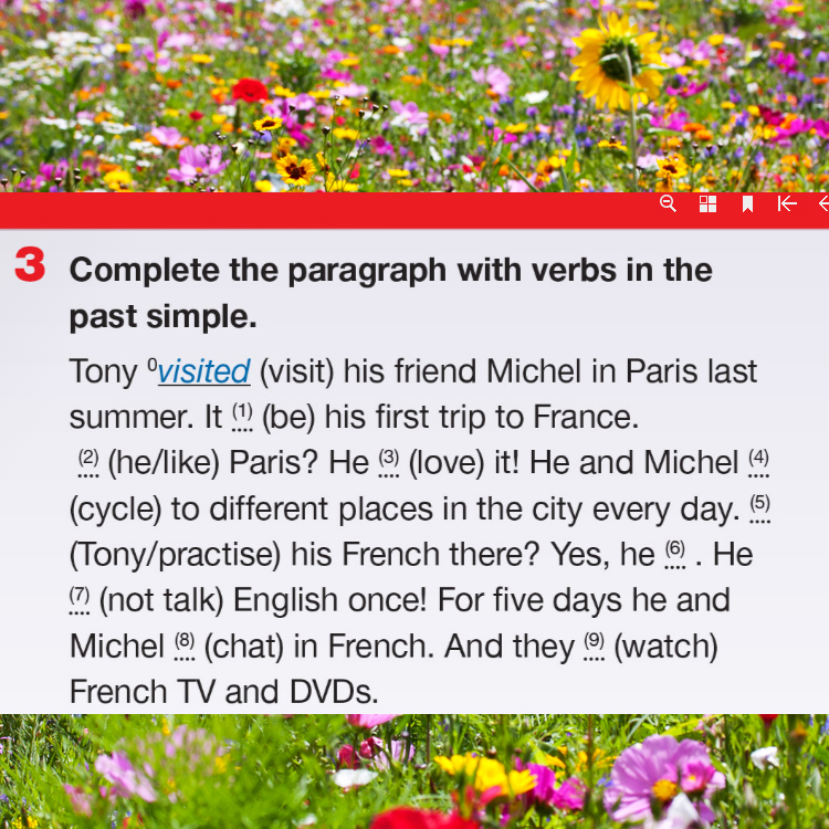 Language revision Unit 8 by Svetlana Lesinska - Ourboox.com