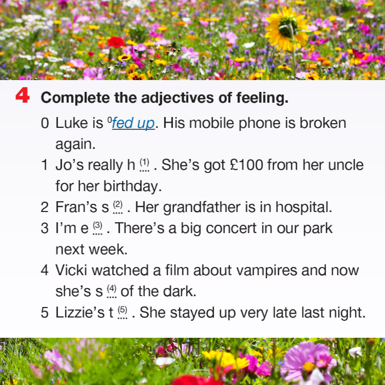 Language revision Unit 8 by Svetlana Lesinska - Ourboox.com