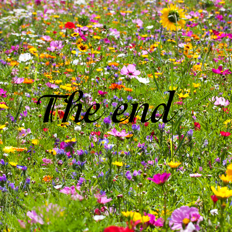 Language revision Unit 8 by Svetlana Lesinska - Ourboox.com