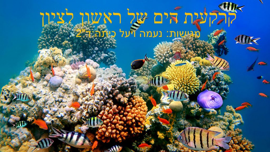 קרקעית הים של ראשון לציון – נעמה ויעל by neveoz - Ourboox.com