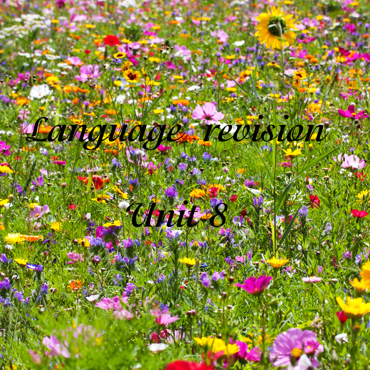 Language revision Unit 8 by Svetlana Lesinska - Ourboox.com