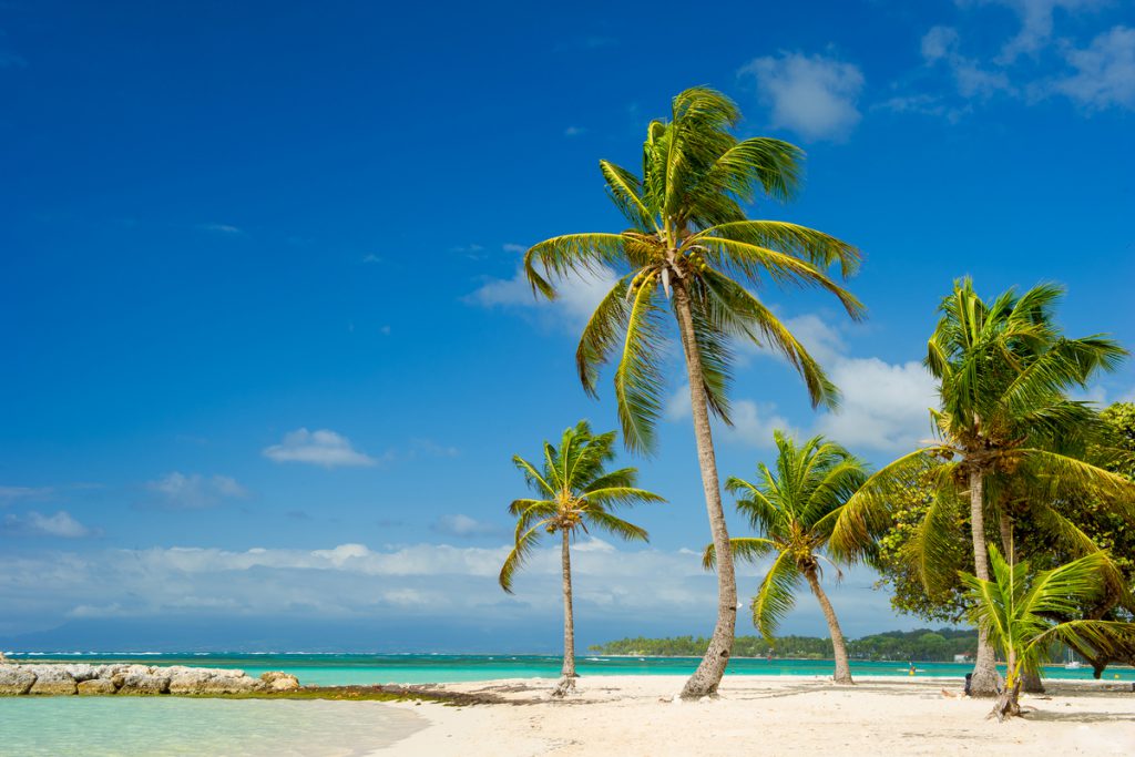 Les plus belles îles du monde by Agata Staszkiewicz - Ourboox.com