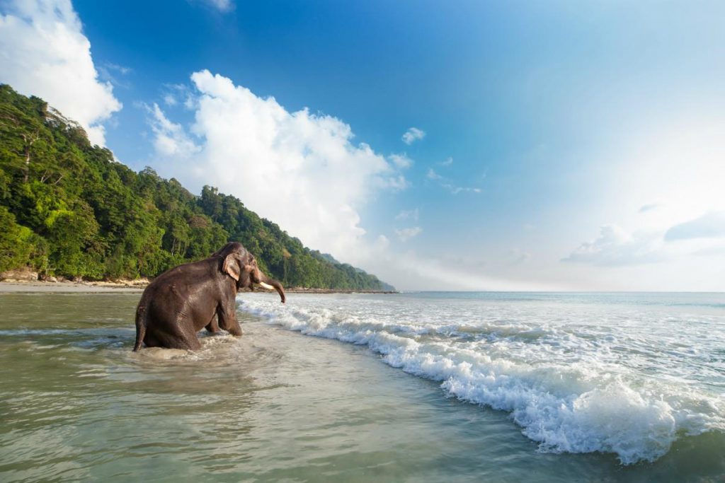 Les plus belles îles du monde by Agata Staszkiewicz - Ourboox.com