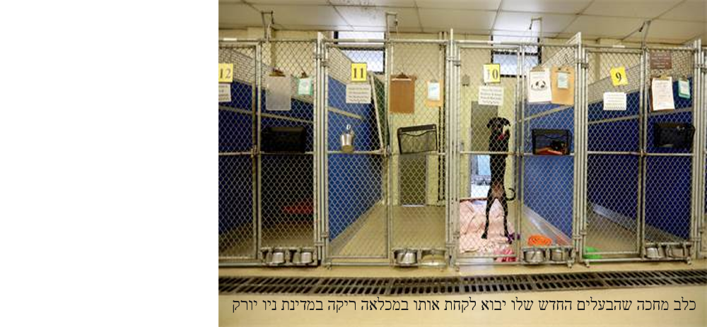 קורונה, אבל קצת אחרת. תמונות מכל העולם שיגרמו לכם לחייך by תיקי שגיא - Ourboox.com