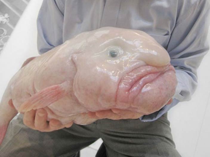 Sınıflandırma by Demirhan - Ourboox.com