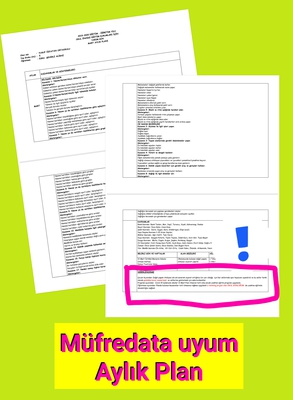 Okul Günlüğüm Projesi ve Okul Öncesi Programı Müfredat İlişkisi by Emel san - Ourboox.com