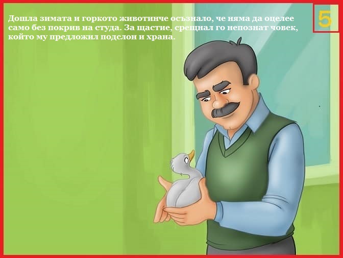 Грозното патенце by Magdalena Slavova - Ourboox.com