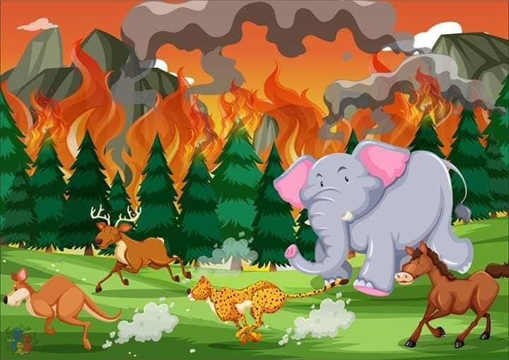 Природни стихии и бедствия by Milena Zheleva - Ourboox.com