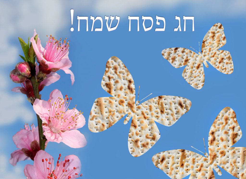 חג פסח by ayelet shabtai - Illustrated by כיתה ה'1 - Ourboox.com