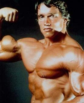 Arnold by Chris - Illustrated by Christian Tuma  | كريستيان توما - Ourboox.com