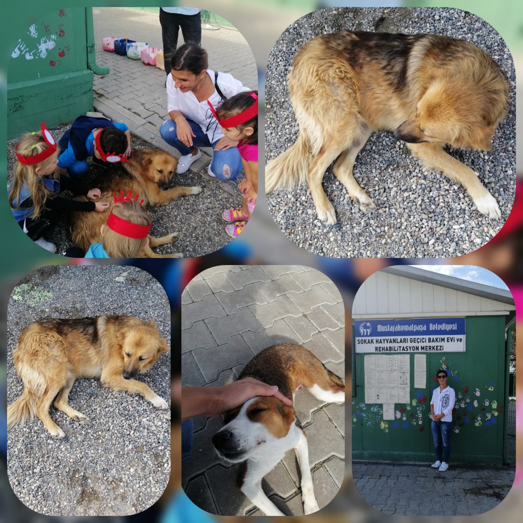 1 iyilik yap iyilik bul proje özeti by cemile muslu - Ourboox.com