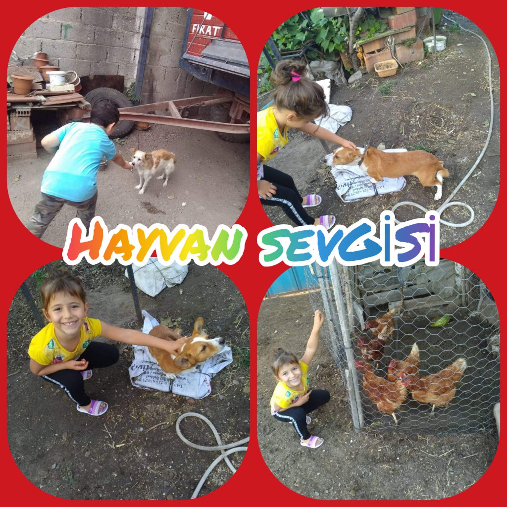 1 iyilik yap iyilik bul proje özeti by cemile muslu - Ourboox.com