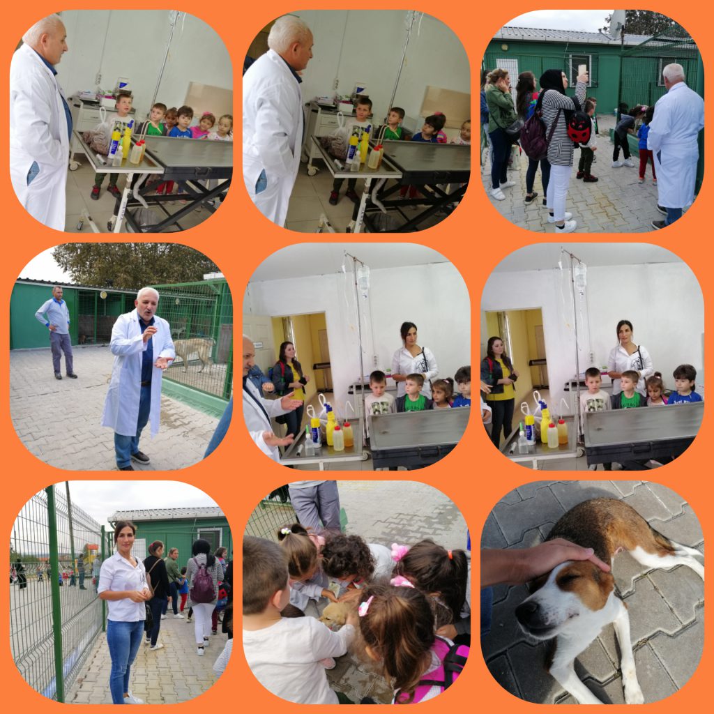 1 iyilik yap iyilik bul proje özeti by cemile muslu - Ourboox.com