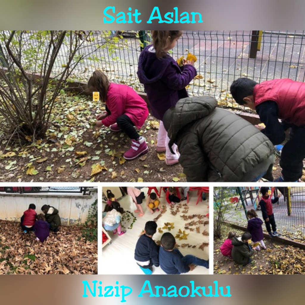 WALDORF İLE DOĞAYA DÖNÜŞ by Derya Olcay ÇİĞDEMAL - Ourboox.com