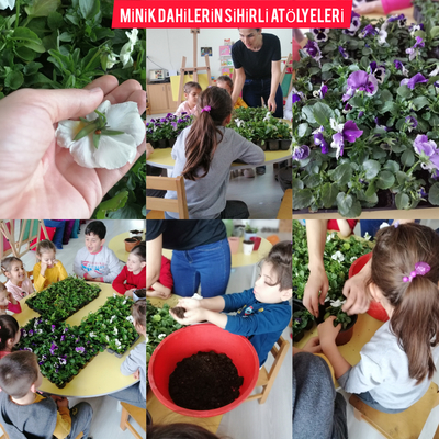 MİNİK DAHİLERİN SİHİRLİ ATÖLYELERİ PROJE ÖZETİ by cemile muslu - Ourboox.com