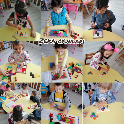 MİNİK DAHİLERİN SİHİRLİ ATÖLYELERİ PROJE ÖZETİ by cemile muslu - Ourboox.com