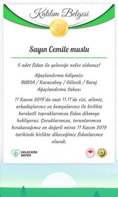 MİNİK DAHİLERİN SİHİRLİ ATÖLYELERİ PROJE ÖZETİ by cemile muslu - Ourboox.com
