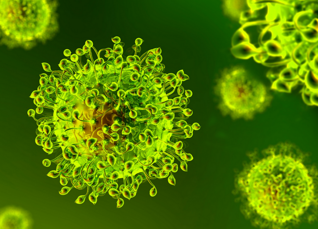 CORONA VIRUS by Emma Longhin - Ourboox.com