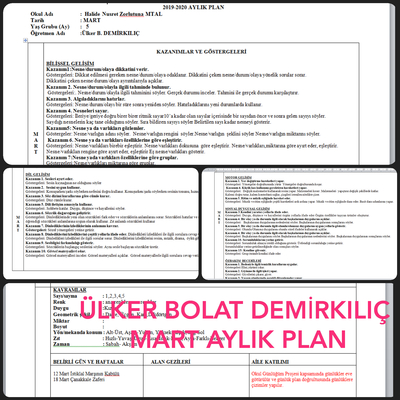 Okul Günlüğüm Projesi ve Okul Öncesi Programı Müfredat İlişkisi by Emel san - Ourboox.com