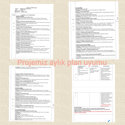 Okul Günlüğüm Projesi ve Okul Öncesi Programı Müfredat İlişkisi by Emel san - Ourboox.com