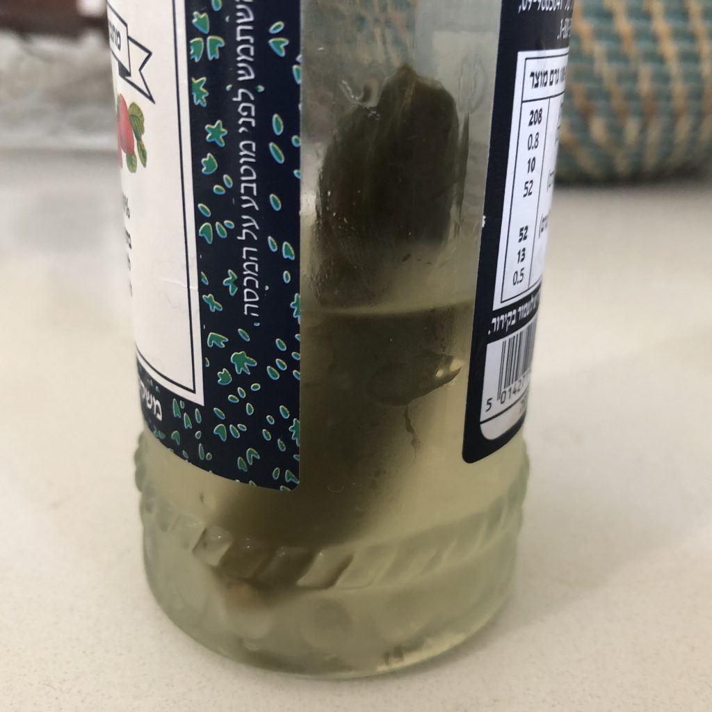 Things that I Love by donald almost trump - Ourboox.com