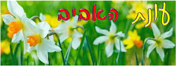 למידה מרחוק by rachel - Ourboox.com