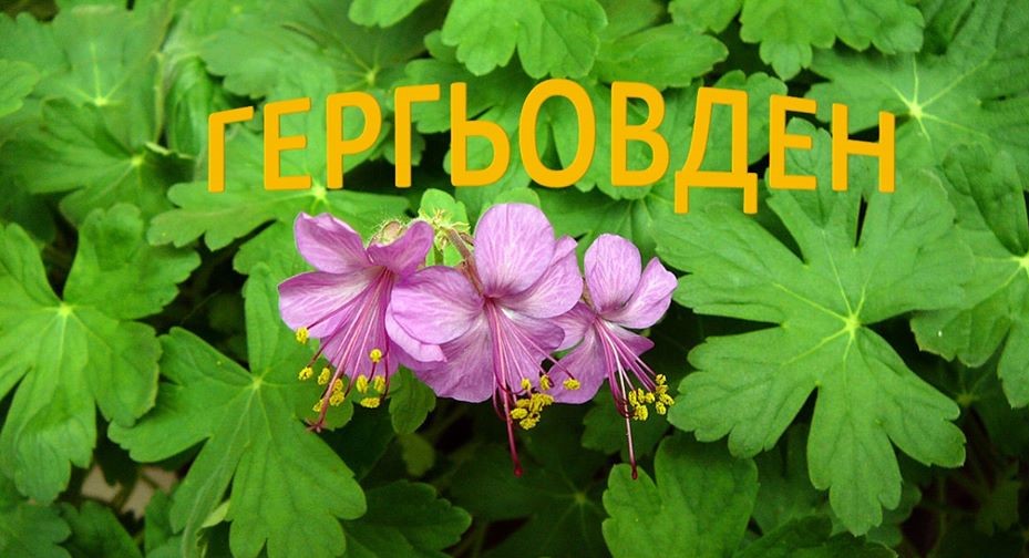 Гергьовден by Yana Nikolova - Ourboox.com