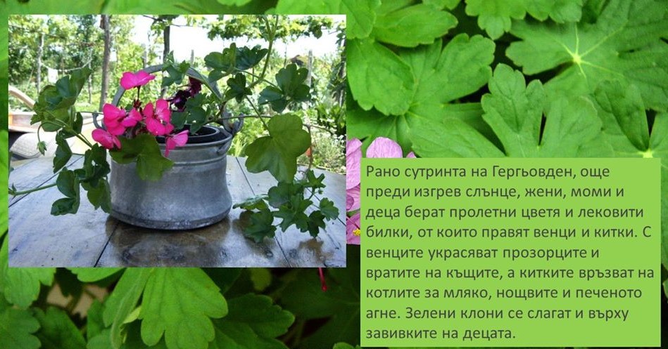 Гергьовден by Yana Nikolova - Ourboox.com