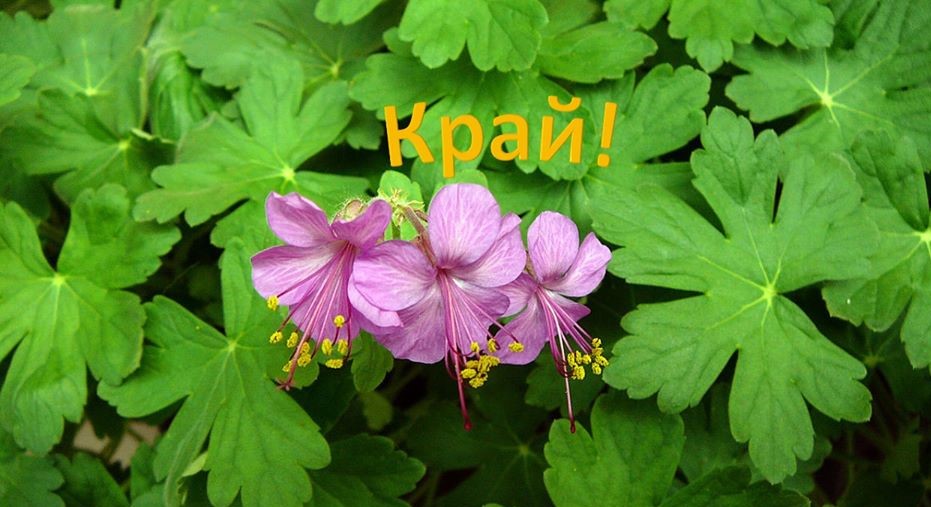 Гергьовден by Yana Nikolova - Ourboox.com