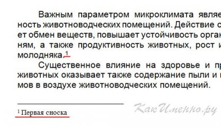 Перенос слів. Шрифтові виділення. Колонцифри. Колонтитули. Виноски. Художні ефекти. «Коридори». Висячі рядки. Текстові – видільні – титульні шрифти. Акценти. Абзацний відступ. Буквиця. Відбиття лінійками. by Prisyajnui Vadim - Ourboox.com