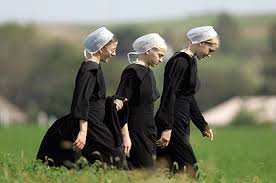 The Amish by lihi spector - Ourboox.com