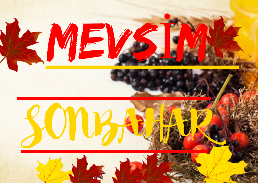 Mevsim Sonbahar eTwinning Proje by Fatma DUMAN - Ourboox.com