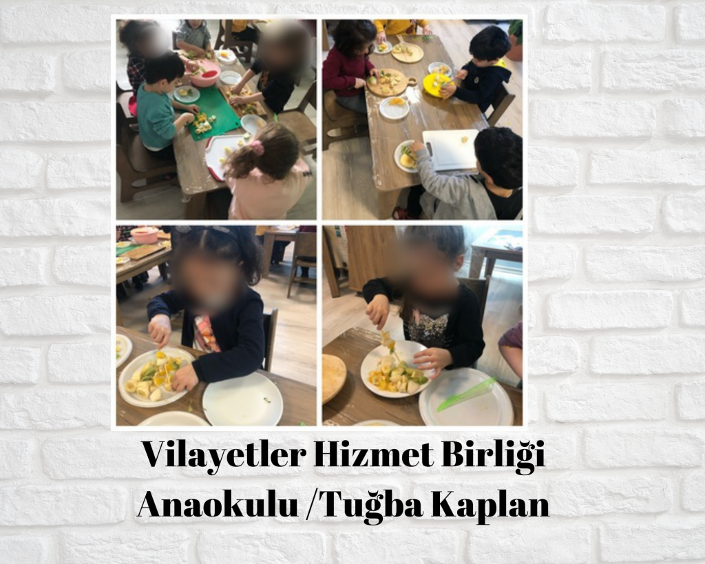 Waldorf ile doğaya dönüş projesi meyve salatası çalışması e book by sait aslan - Ourboox.com