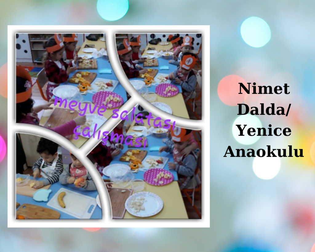 Waldorf ile doğaya dönüş projesi meyve salatası çalışması e book by sait aslan - Ourboox.com