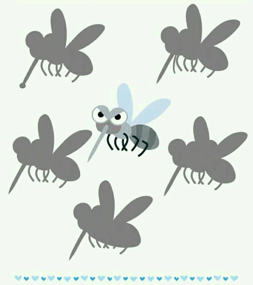 Открий сянката” – дидактична игра” by Irena Hristova - Ourboox.com