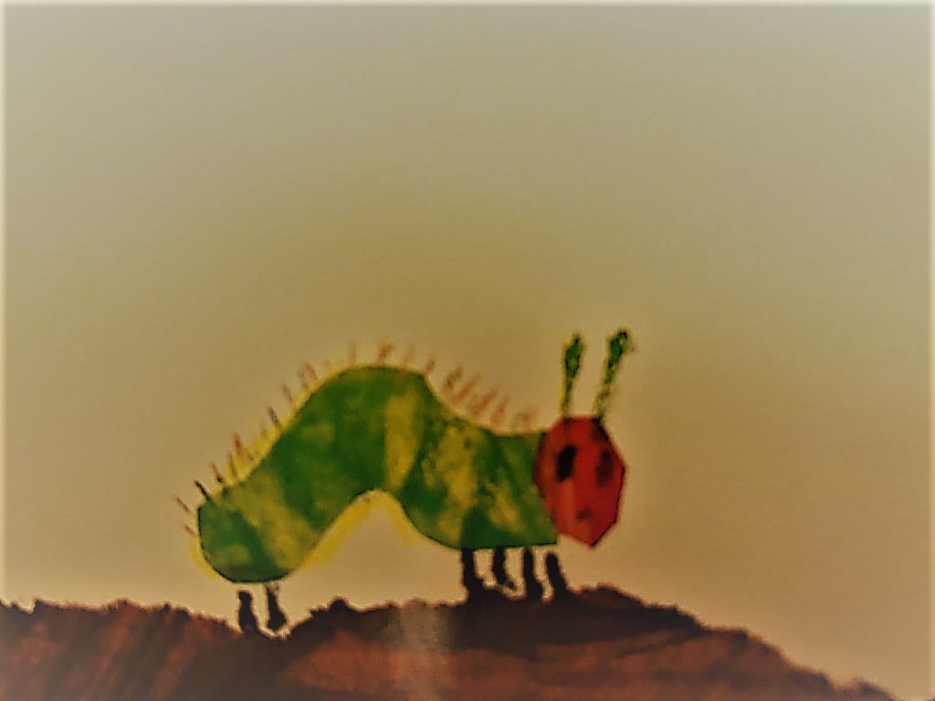 IL PICCOLO BRUCO MAI SAZIO by barbara maglianesi - Illustrated by BARBARA MAGLIANESI - Ourboox.com