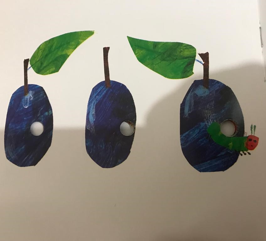 IL PICCOLO BRUCO MAI SAZIO by barbara maglianesi - Illustrated by BARBARA MAGLIANESI - Ourboox.com