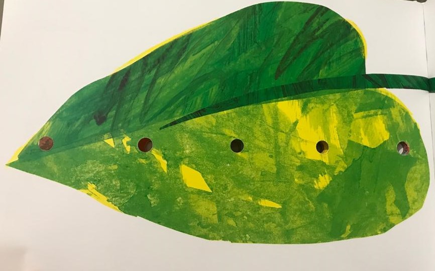 IL PICCOLO BRUCO MAI SAZIO by barbara maglianesi - Illustrated by BARBARA MAGLIANESI - Ourboox.com